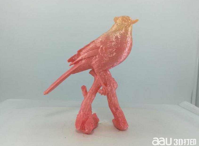 一只鳥